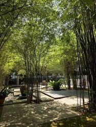 The Amery (D15), Condominium #608279501